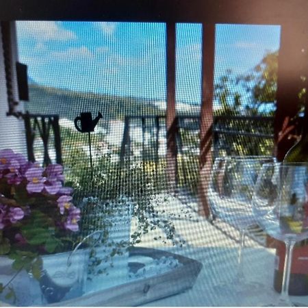 Apartment *Biba* Dugi Rat Eksteriør bilde